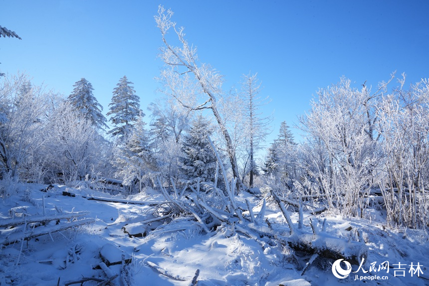 北大湖霧凇景觀。人民網記者 李洋攝