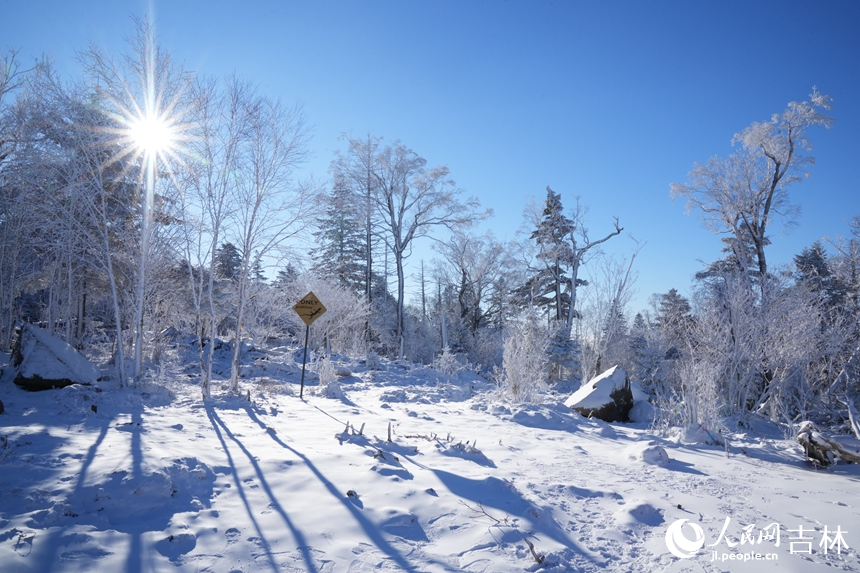 冬日的北大湖仿若冰雕玉琢般晶瑩的童話世界。人民網記者 李洋攝