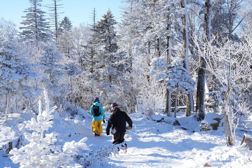 游客在北大湖徒步欣賞霧凇。人民網記者 李洋攝