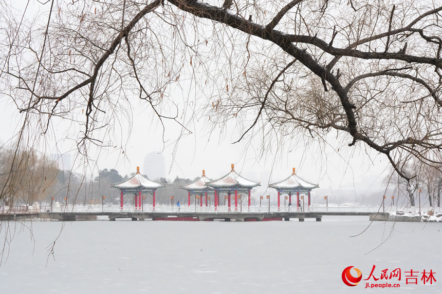 雪中長春南湖美景。人民網記者 李洋攝