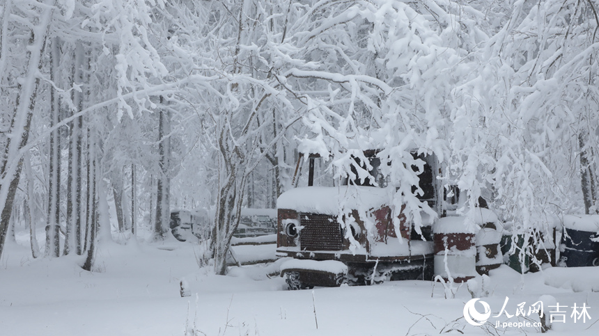 隨著一場大雪降臨,老里克湖松林被潔白的雪凇裝點得如詩如畫。人民網記者 李洋攝