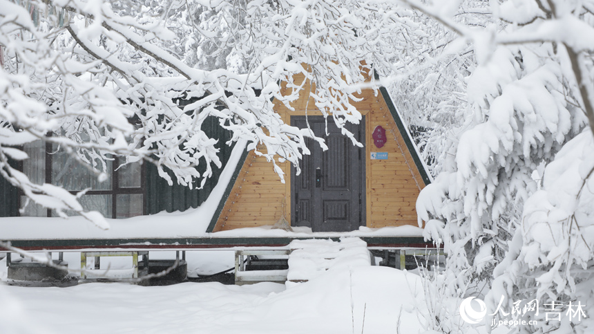 隨著一場大雪降臨,老里克湖松林被潔白的雪凇裝點得如詩如畫。人民網記者 李洋攝
