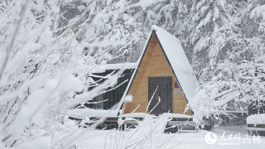 隨著一場大雪降臨,老里克湖松林被潔白的雪凇裝點得如詩如畫。人民網記者 李洋攝
