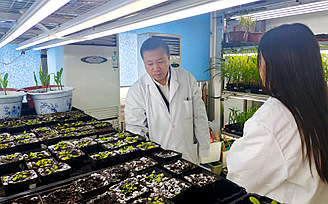 深耕鄉村旅游 帶動村民增收