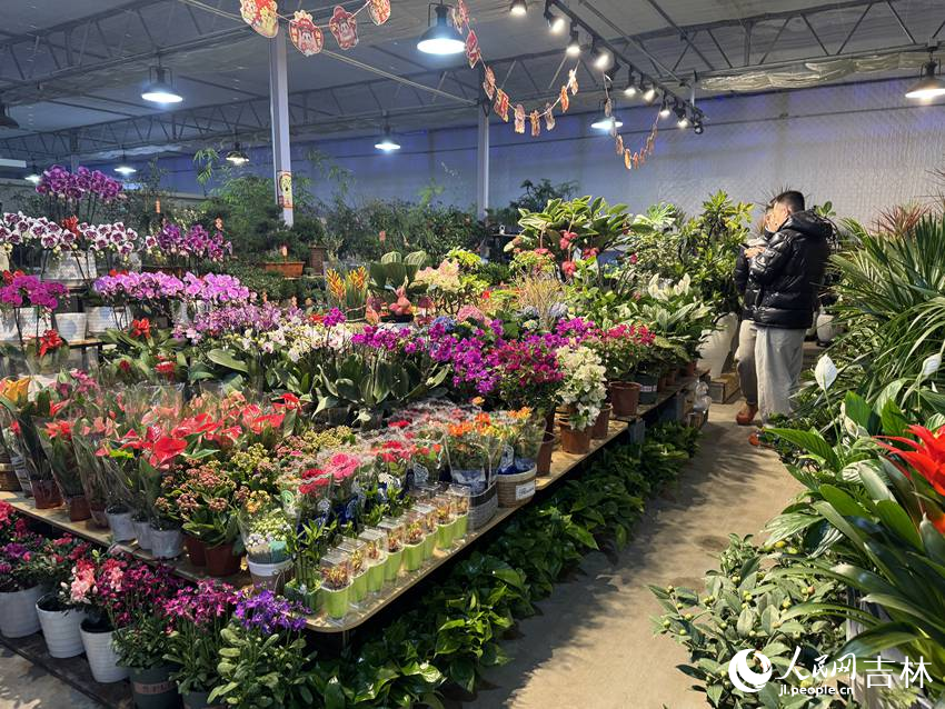 青怡坊植物倉。人民網記者 李思玥攝