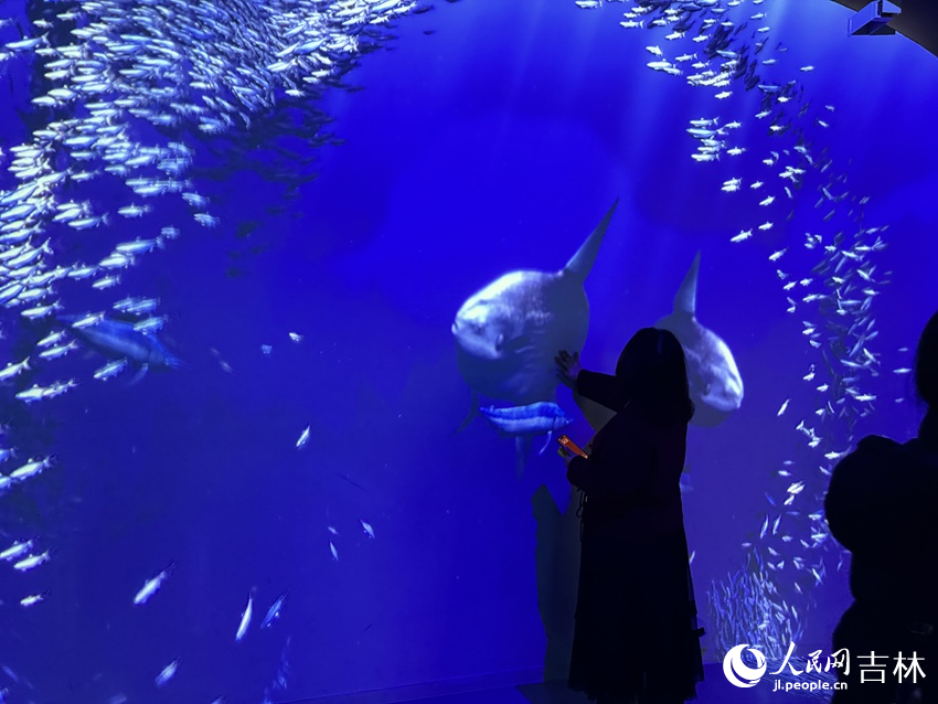 時空旅程搭建美妙奇幻的場景激發孩子們想象力與創造力。人民網記者 李思玥攝