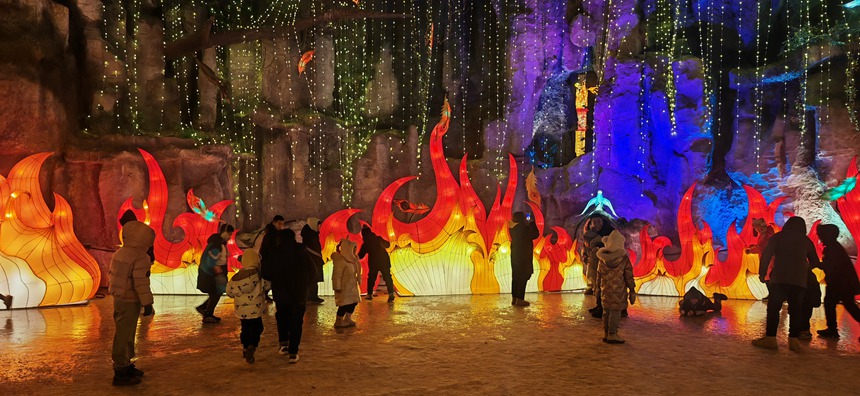 【組圖】2025遼源動植物園迎春燈會光彩開幕！【5】