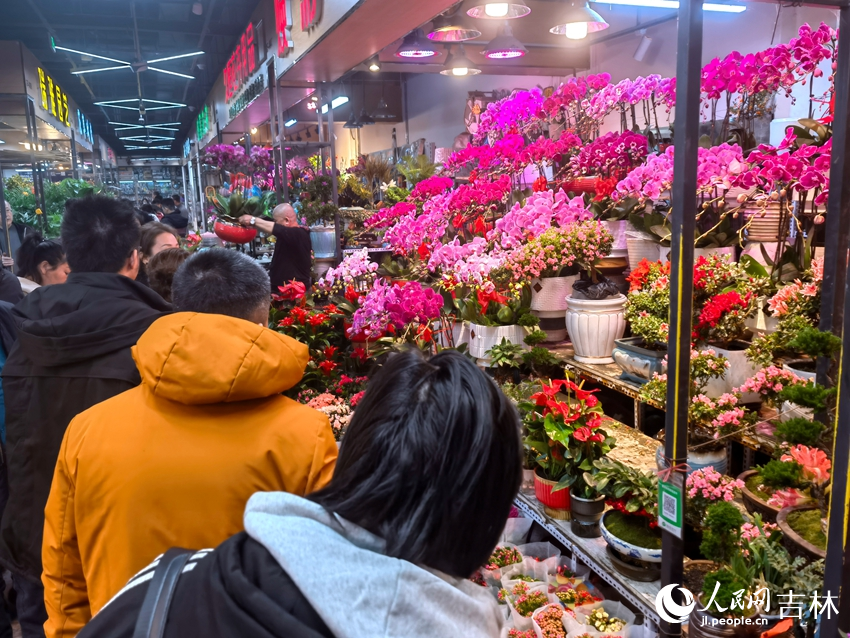 市民駐足在花卉前進行選購。人民網記者 馬俊華攝