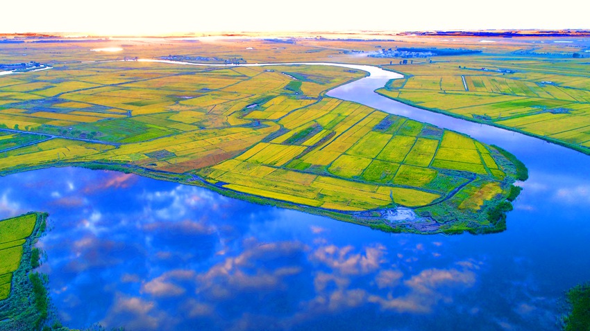 優質的嫩江水源是鎮賚水稻產業的“綠色血液”。