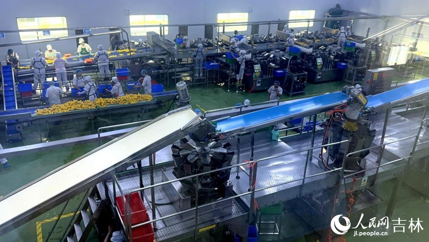 吉林省農嫂食品有限公司生產車間內一片火熱。人民網記者 王海躍攝