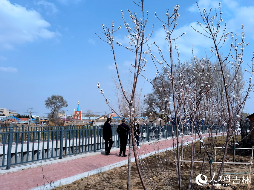 河岸邊的小微綠地春花爛漫。人民網記者 馬俊華攝