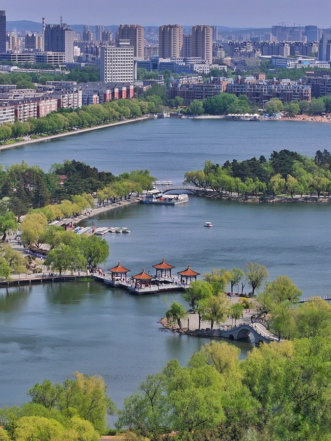 初夏時節，長春南湖公園綠意盎然，美景如畫。人民網記者 李洋攝