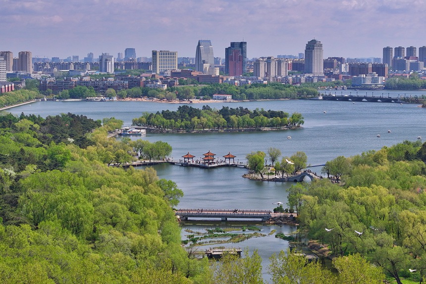 初夏時節，長春南湖公園綠意盎然，美景如畫。人民網記者 李洋攝