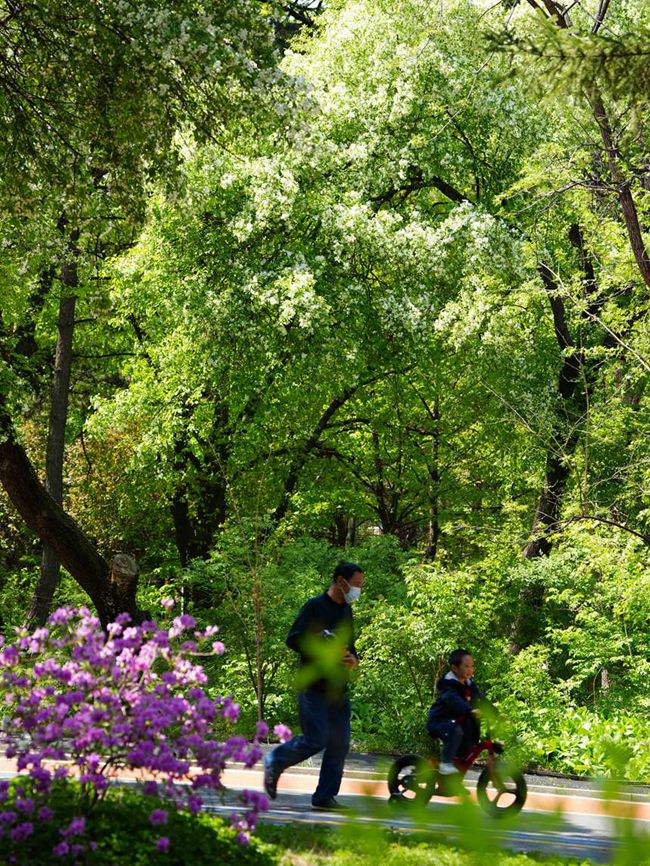 市民在公園中游玩。人民網記者 李洋攝