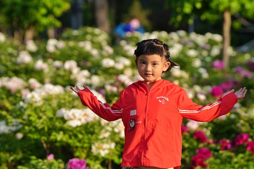 吉林長春:牡丹盛放香溢遠【11】