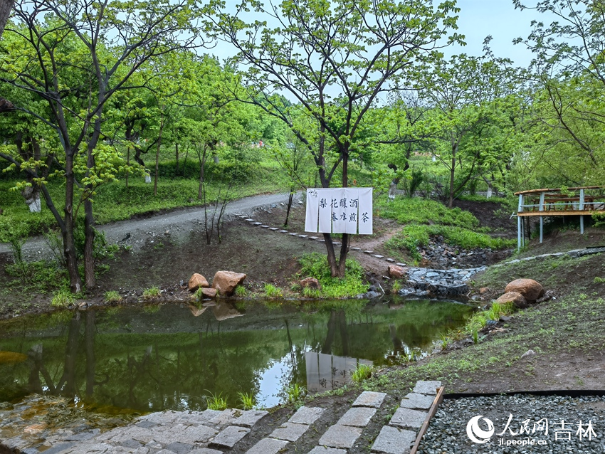 百年梨園。人民網記者 馬俊華攝