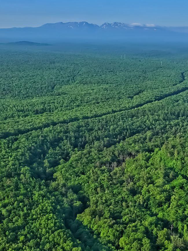 遠眺長白山。人民網記者 李洋攝