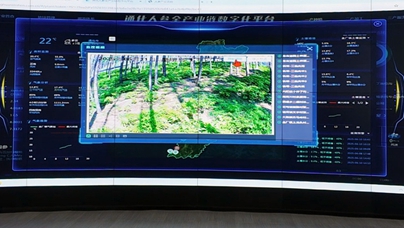 行進中國丨通化醫藥高新區踏上“新”征程“有了這個平臺，人參便擁有了‘數字管家’?！痹陂L白山腹地的通化醫藥高新區，隨著通化人參全產業鏈數字化平臺投入使用，一場“數字+人參”的產業革命正在悄然展開。