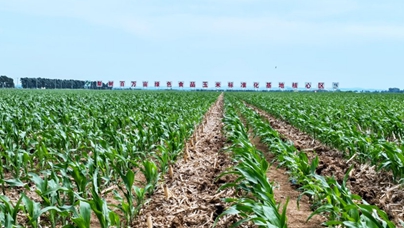 行進中國 | 黑土地的“長期主義”“土能生萬物，地能產黃金?！?月18日，人民網“行進中國”吉林調研采訪團走進吉林省四平市梨樹縣，探訪關于黑土地的“長期主義”。