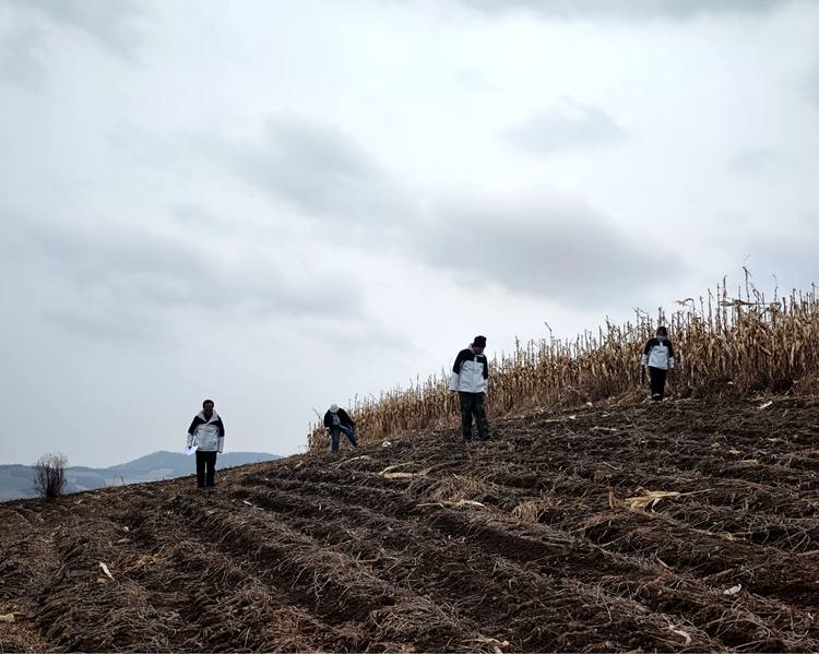 靖宇縣四普隊員保持間距實地采集標本。