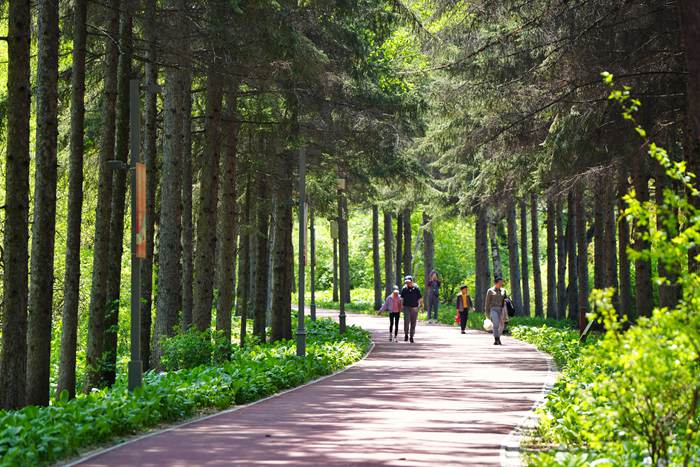 長春南湖公園。人民網記者 李洋攝