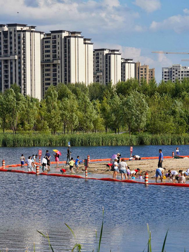 長春南溪濕地。人民網記者 李洋攝