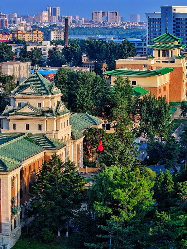 長春新民大街。人民網記者 李洋攝