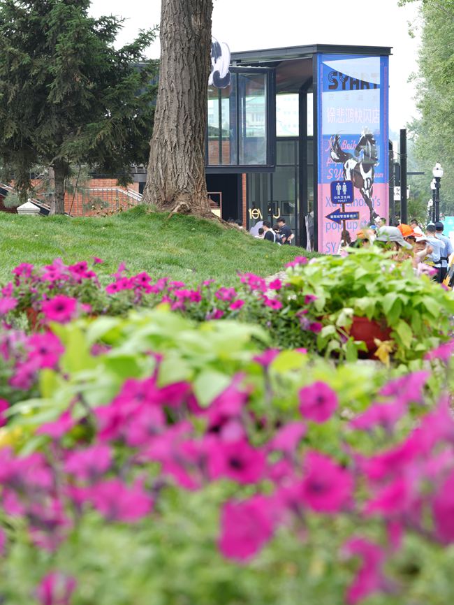 新民大街街頭的新潮店鋪。人民網記者 李洋攝