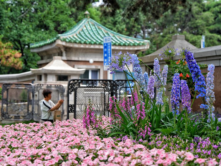 街區中的口袋公園。人民網記者 李洋攝