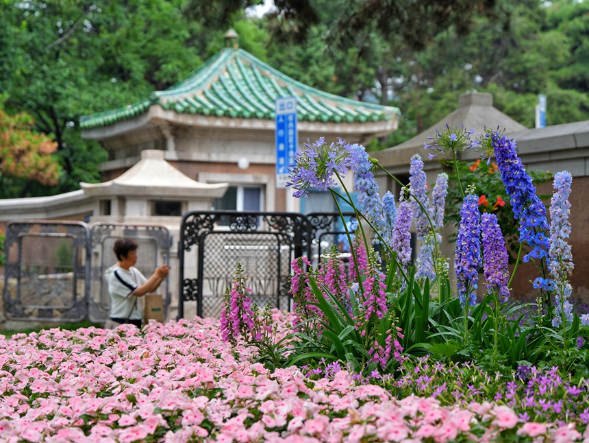 游客在街區的口袋公園拍照留念。人民網記者 李洋攝