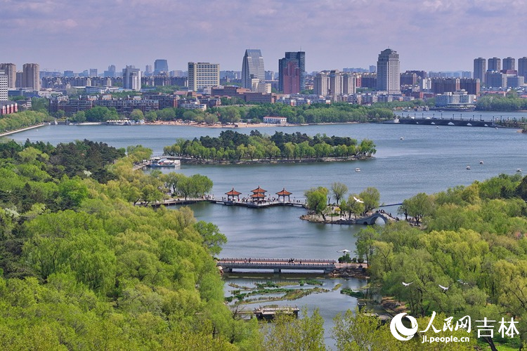 夏日長春，美景如畫。人民網記者 李洋攝