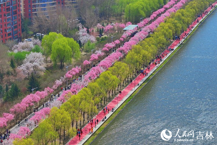 長春伊通河美景如畫。人民網記者 李洋攝