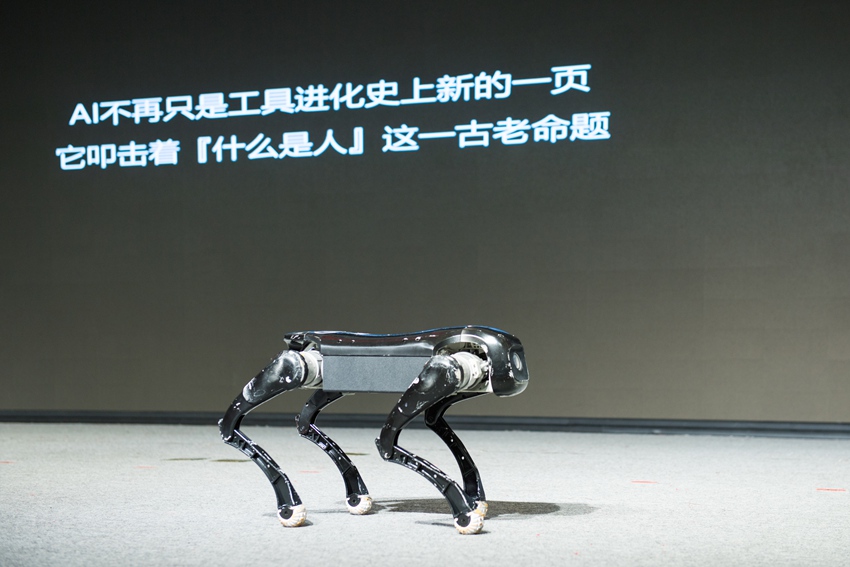 現場展示機器狗自編舞蹈。人民網記者 李思玥攝