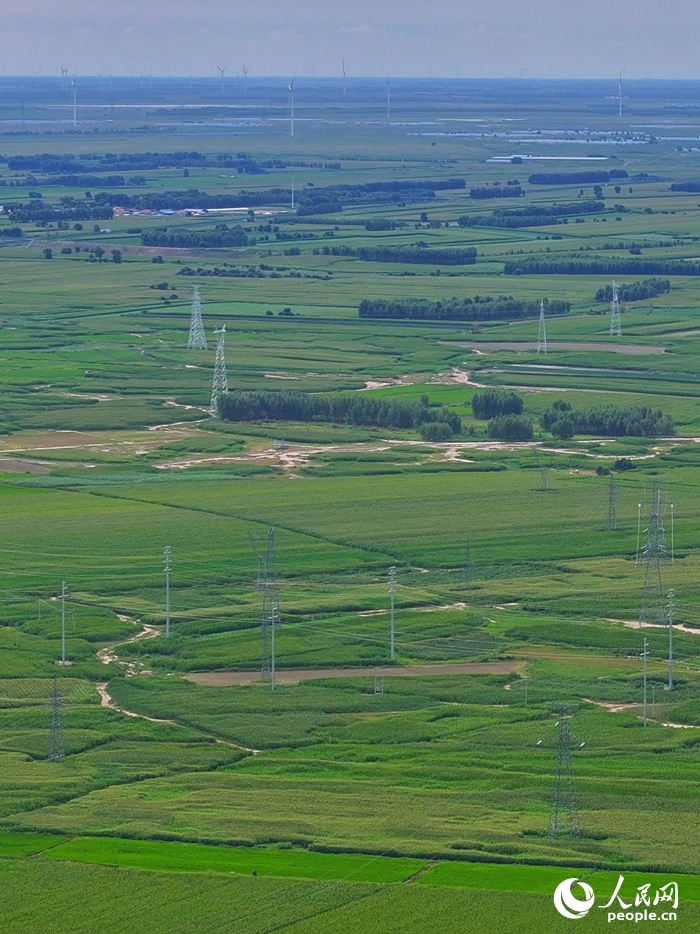 在吉林大安，曾經的“白色荒漠”經過改造變成“魚米之鄉”。人民網記者 李洋攝