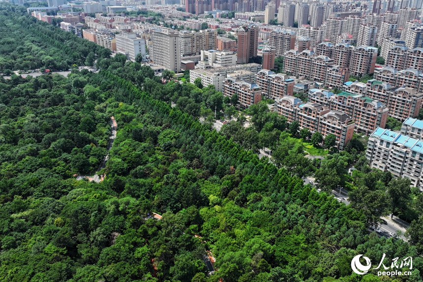 近年來，長春市大力實施生態宜居工程，讓越來越多的群眾享受到家門口的“綠色福利”。人民網記者 李洋攝
