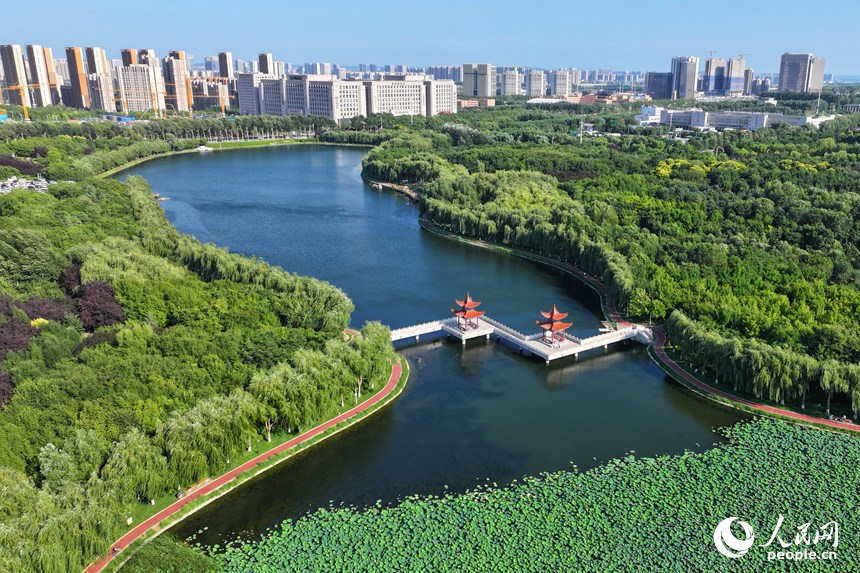 長春友誼公園內“滿屏”的綠色。人民網記者 李洋攝