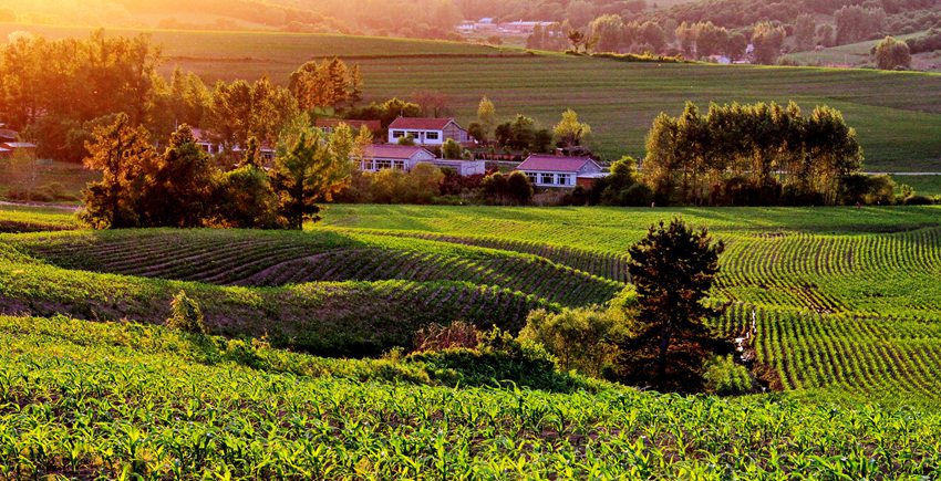 生態優良、環境優美的東部“生態花園”