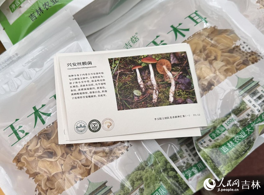 用“蘑菇紙”制成的明信片。人民網記者 李思玥攝