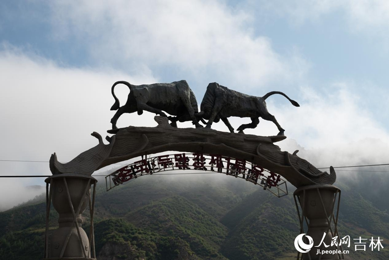 圖們江斗牛場。實習生 王思皓攝