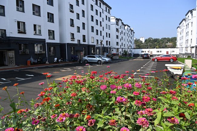 改造后的仙城小區