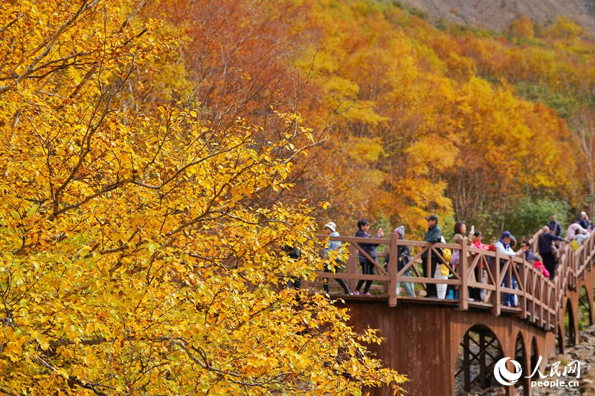 9月22日，游客在長白山景區賞秋景。人民網記者 李洋攝