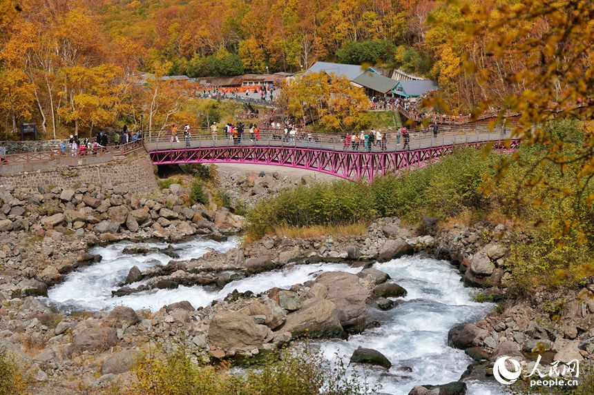 9月22日，長白山景區秋意漸濃。人民網記者 李洋攝