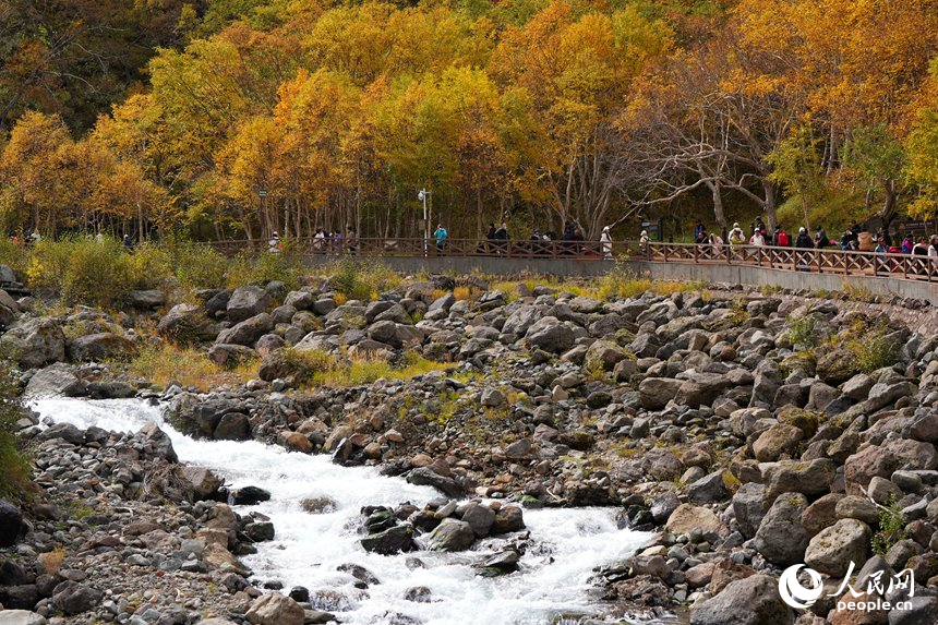 游客欣賞長白山秋日美景。人民網記者 李洋攝