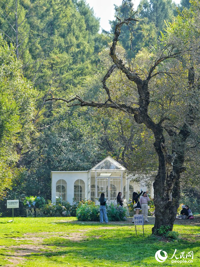 游客在景區拍照打卡。人民網記者 李洋攝