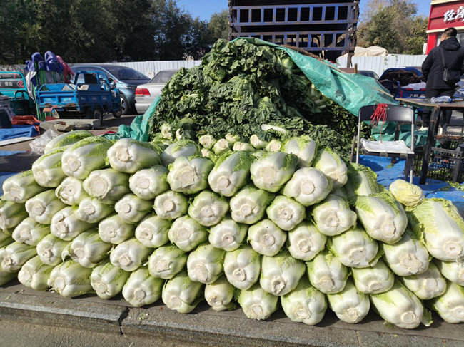 長春市秋菜銷售點的秋菜。