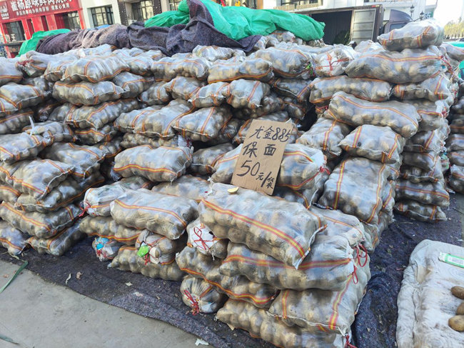 長春市秋菜銷售點的秋菜。