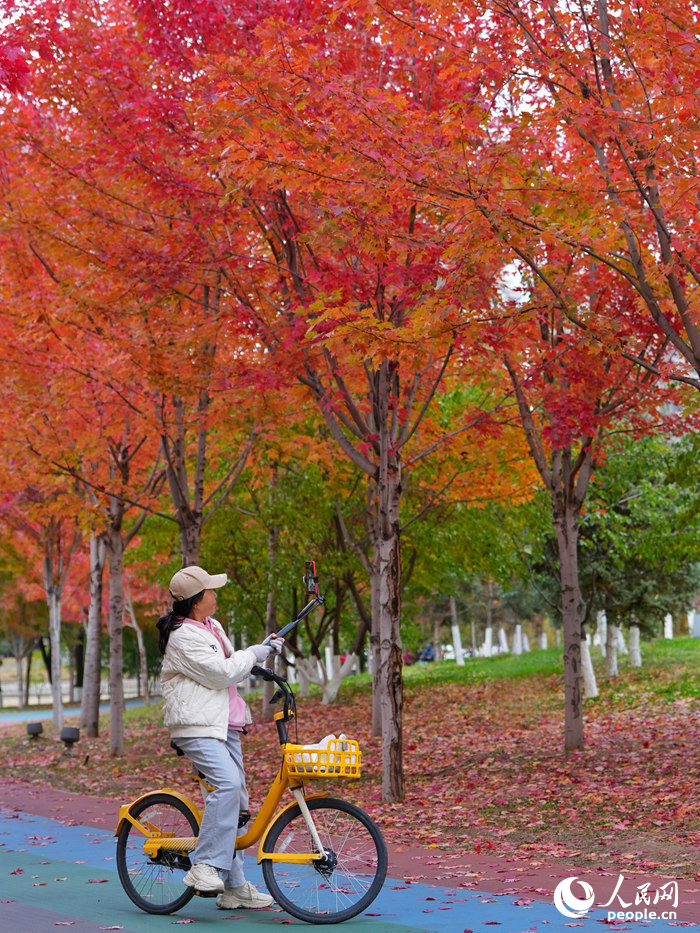 游客在月荷文化園拍照留念。人民網記者 李洋攝