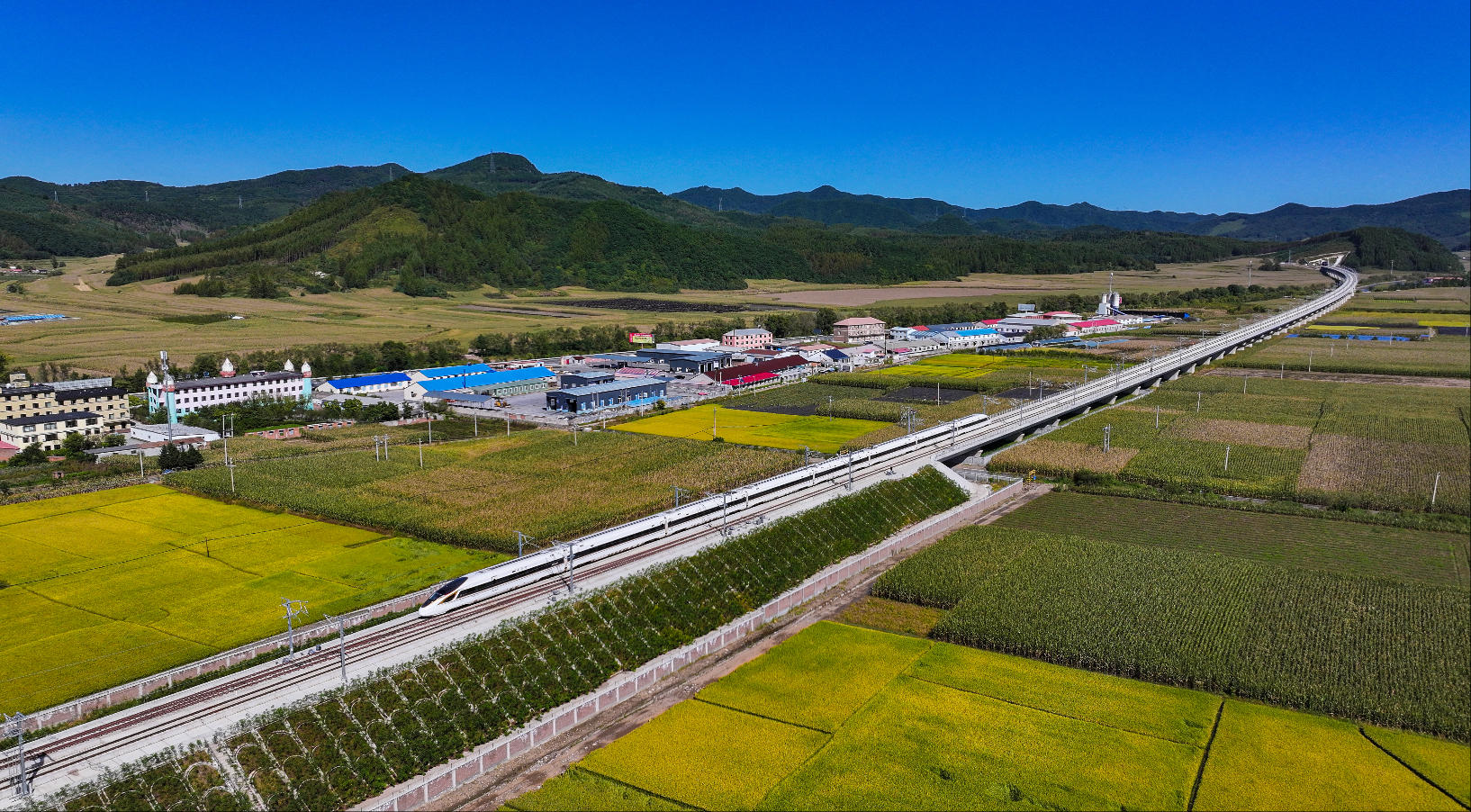 沈白高鐵在農田旁飛馳而過。陳明 攝