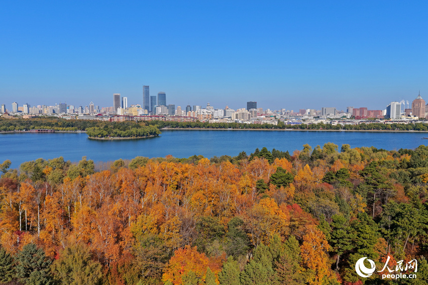 金秋時節，長春南湖公園層林盡染，秋景如畫。人民網記者 李洋攝