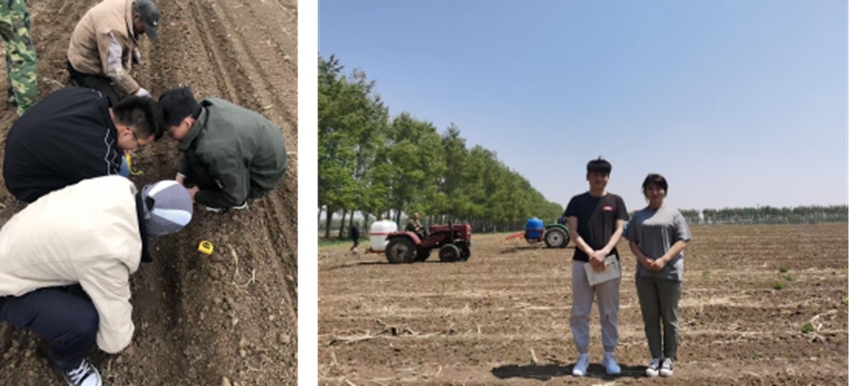 核查單元建設實施效果。